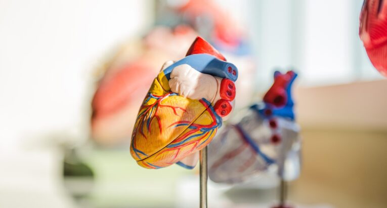 Cardiology in Carlsbad NM | Liz Madison, ACNP