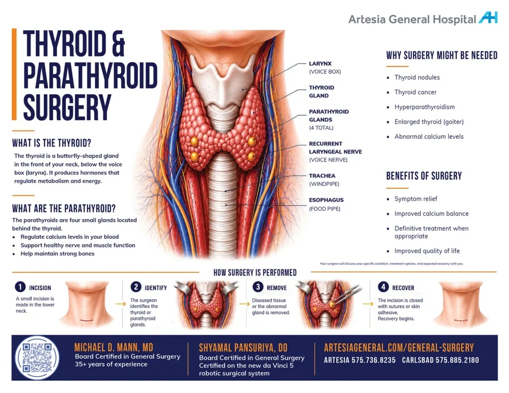 An educational medical infographic from Artesia General Hospital explaining thyroid and parathyroid surgery, including neck anatomy, surgical benefits, and a step-by-step overview of the procedure.